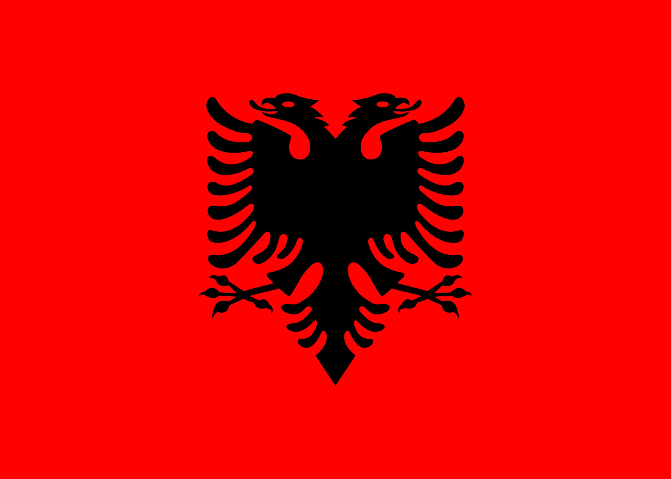 How Does Surrogacy Work in Albania?
