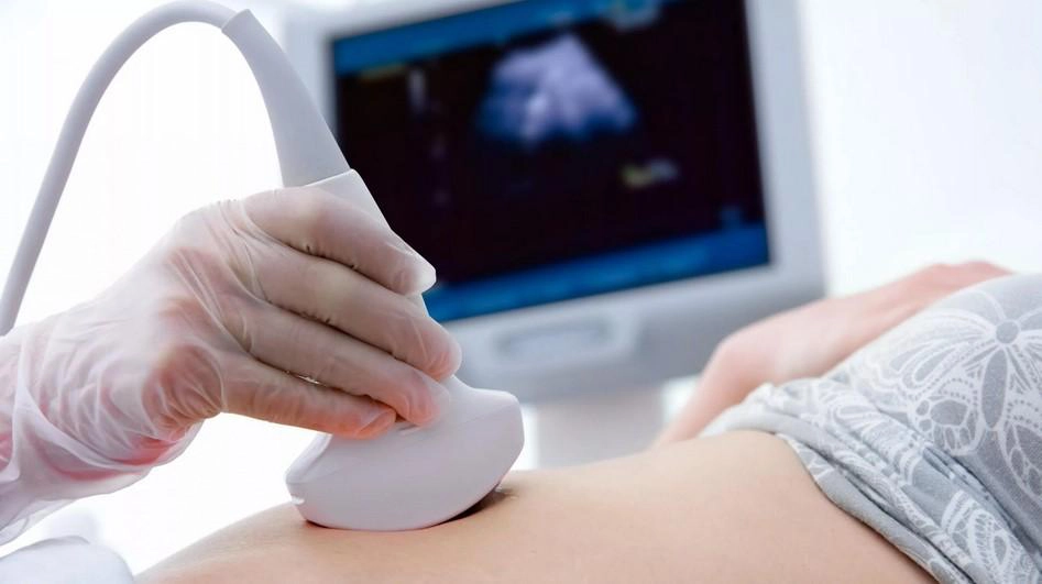 Surrogacy in Kentucky: How Does It Work in the Bluegrass State?