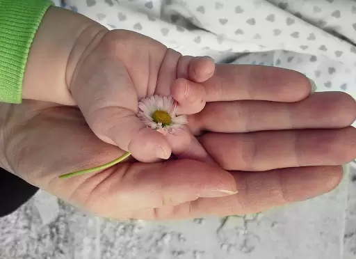 What Is A Surrogate Parent: All You Need To Know About It