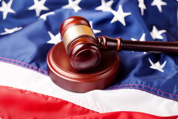 Surrogacy regulation in the USA