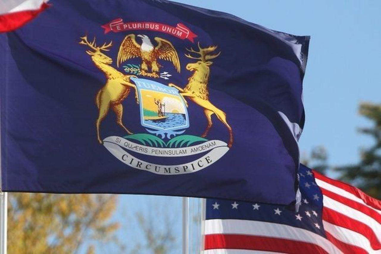 Subrogación en Michigan: ¿Cuáles son las alternativas?