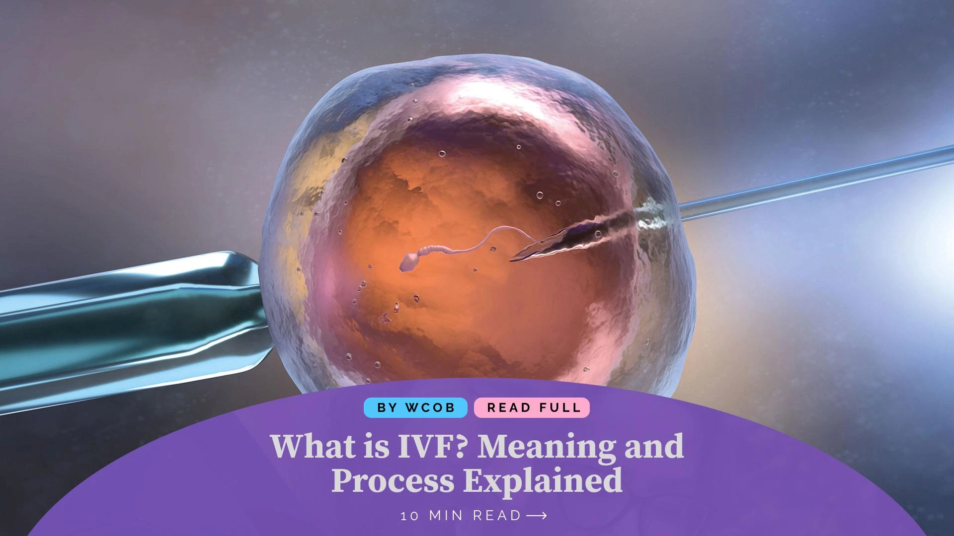 What is IVF? Meaning and Process Explained