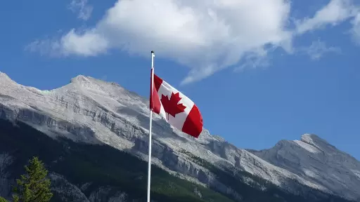 Combien coûte la maternité de substitution au Canada: cette option convient-elle à votre couple ?