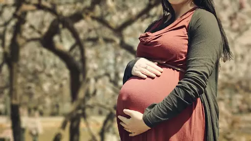 Comment les mères porteuses tombent-elles enceintes : comment ça marche ?