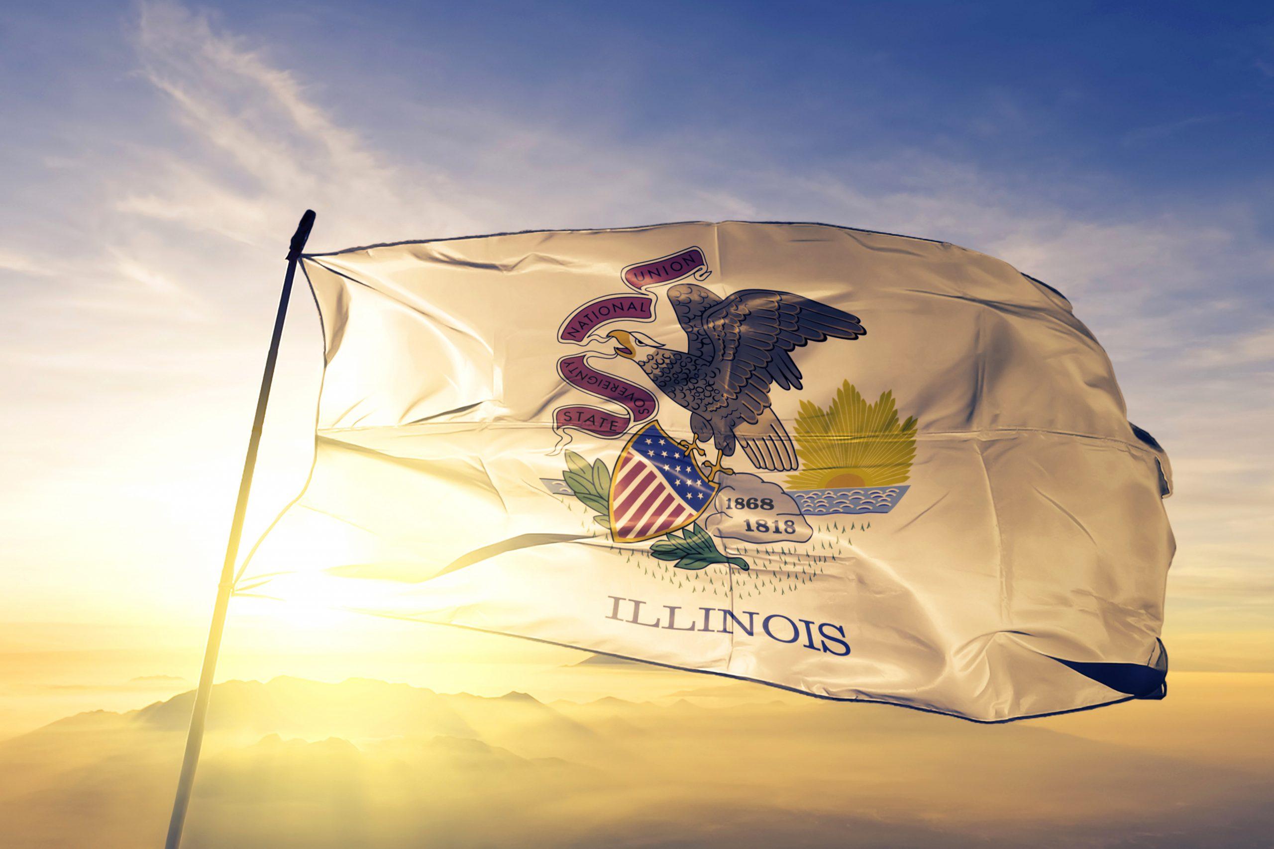 Subrogación en Illinois: todos los futuros padres deben saberlo