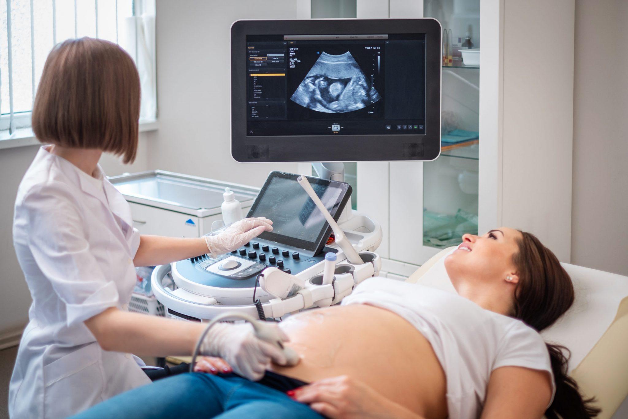 What Does Surrogacy in Illinois Cost?