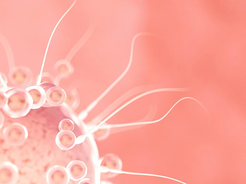 Demandez à un expert en fertilité : avantages de l’insémination artificielle